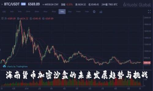 海南货币加密沙盒的未来发展趋势与挑战