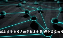 2023年全球加密货币用户数量排名分析：哪个国家