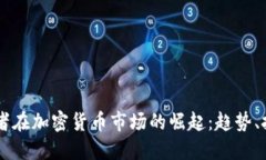 美国散户投资者在加密货币市场的崛起：趋势、