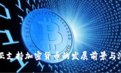 格鲁吉亚支持加密货币的发展前景与潜力分析