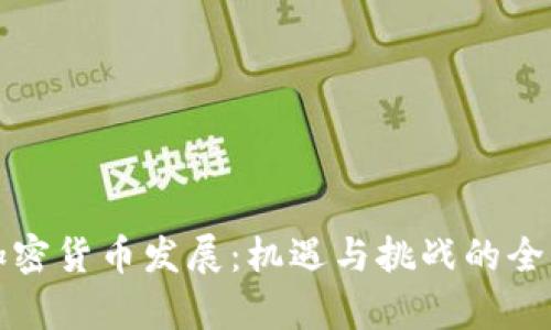 迪拜加密货币发展：机遇与挑战的全面分析
