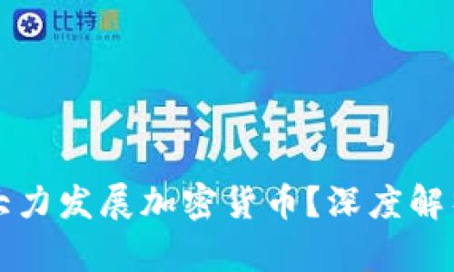 中国为何不大力发展加密货币？深度解析及未来趋势