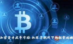 加密货币疯牛市场：机遇与挑战下的投资攻略