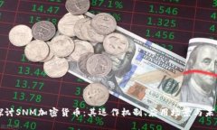 深入探讨SNM加密货币：其运作机制、应用场景与