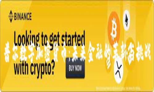 普尔数字加密货币：未来金融的革新与挑战