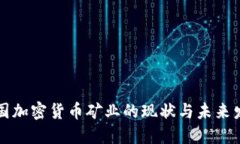 美国加密货币矿业的现状与未来发展