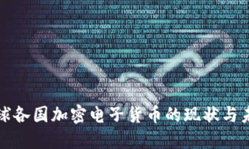 全球各国加密电子货币的现状与未来