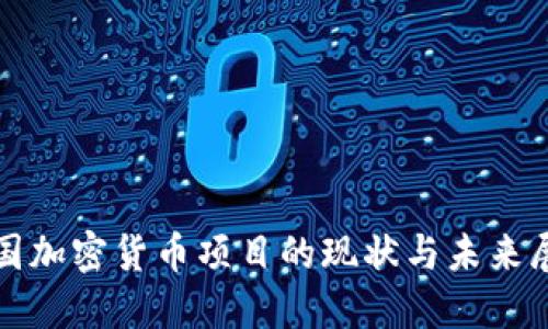 德国加密货币项目的现状与未来展望