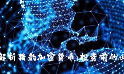 全方位解析猎豹加密货币：投资前的必读指南