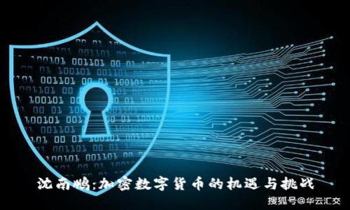 沈南鹏：加密数字货币的机遇与挑战
