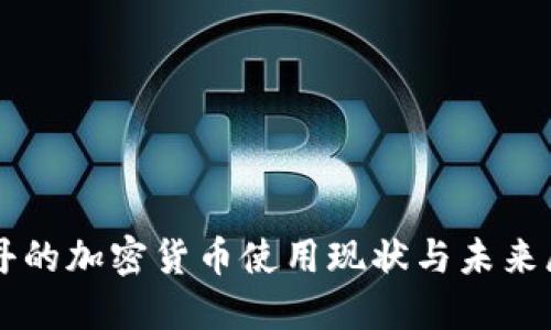 苏丹的加密货币使用现状与未来展望