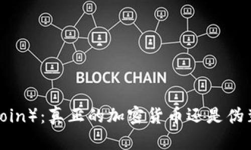 维卡币（VikaCoin）：真正的加密货币还是伪装的投资工具？