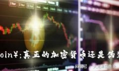 维卡币（VikaCoin）：真正的加密货币还是伪装的投