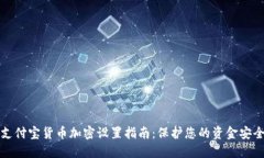 支付宝货币加密设置指南：保护您的资金安全