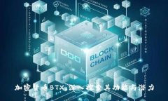 加密货币BTX：深入探索其功能与潜力